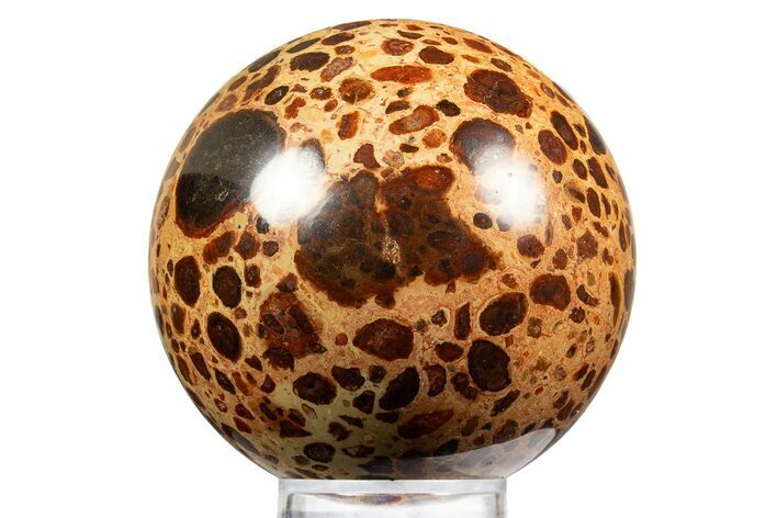 Polished Bauxite (Aluminum Ore) Sphere - Russia #316276